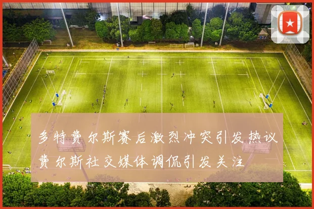 多特费尔斯赛后激烈冲突引发热议费尔斯社交媒体调侃引发关注