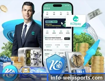 维基体育 APP 深度功能