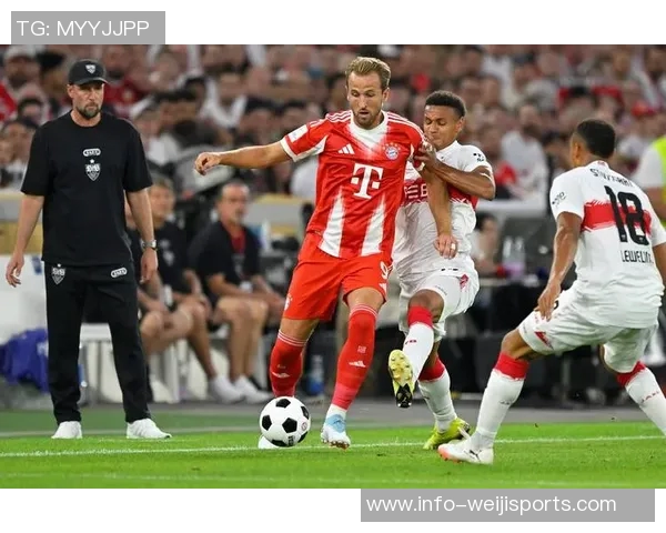 德甲分析:斯图加特主场防线脆弱弗赖堡客场有望全身而退 德甲分析:斯图加特主场防线脆弱弗赖堡客场有望全身而退